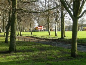 Trees and Train