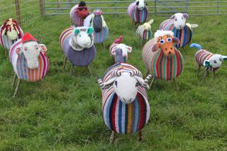 woolsheep woolsheep