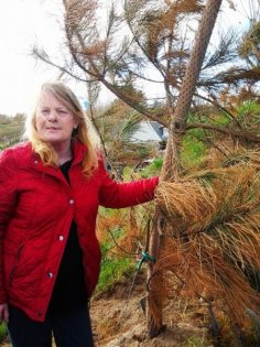 Susan Munro with another dying tree 23 04 13 