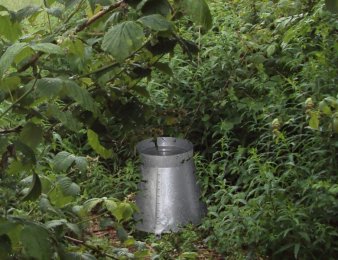 bucketpic