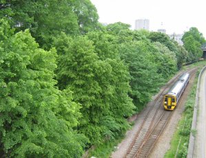 trainutgpic