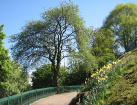 utg-spring-pic