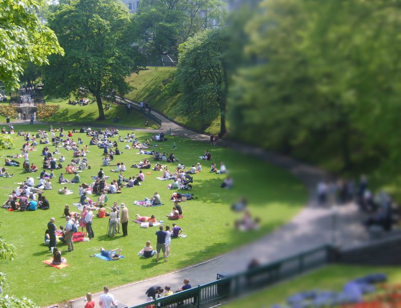 Dear Councillors: An Open Letter Re. City Garden Project
