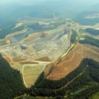 Consumption Without Conscience