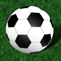 Local Duo In Scotland Squad For Belfast