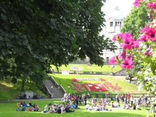 UTG hanging flowers