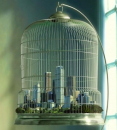 caged-city-pic