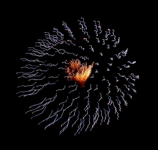 firework123pic