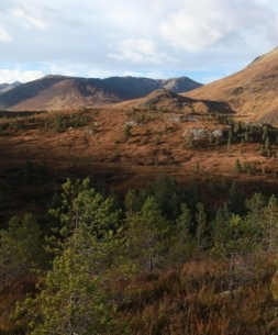 glen_affric_feat