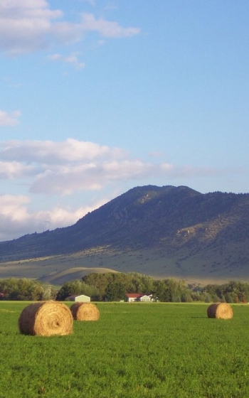 hay-stacks-jpg