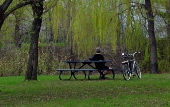 Man In The Park