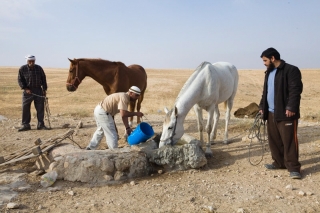 El-Araquib, May 26 2010.