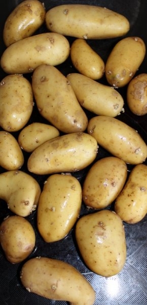 tatties