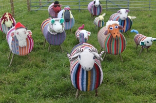 woolsheep