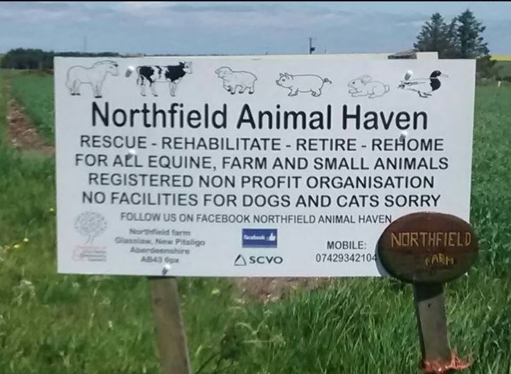 open day july 15 sign says all farm animals and shows animals northfield actually slaughter USE PIC