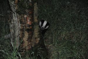 011-badgers-16-7-16-by-dod-morrison-photography-2