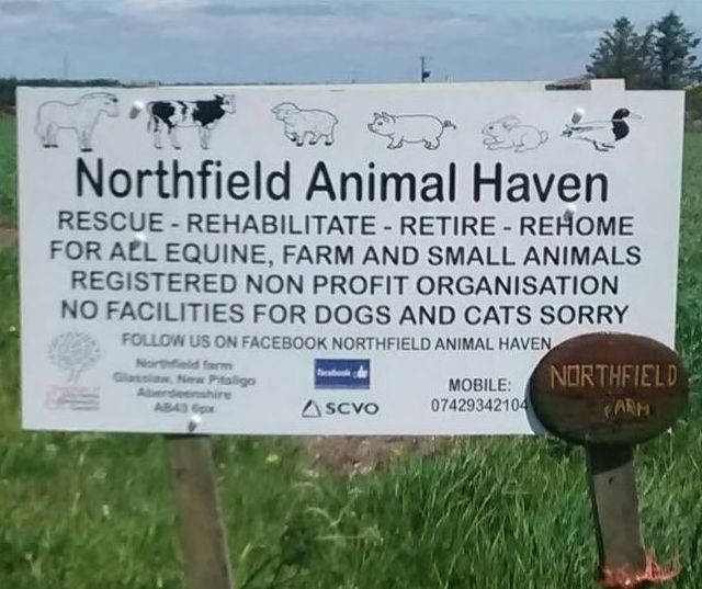 open-day-july-15-sign-says-all-farm-animals-and-shows-animals-northfield-actually-slaughter